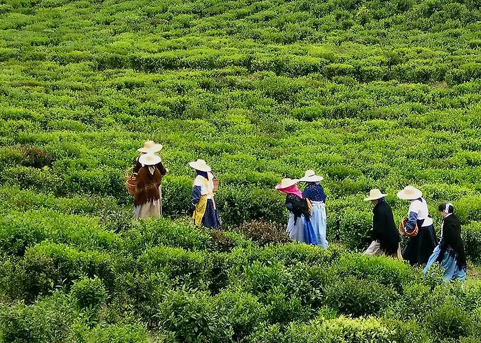 펜션 Casa Quinta Do Marques *
