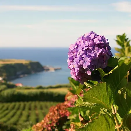 Casa Quinta Do Marques *