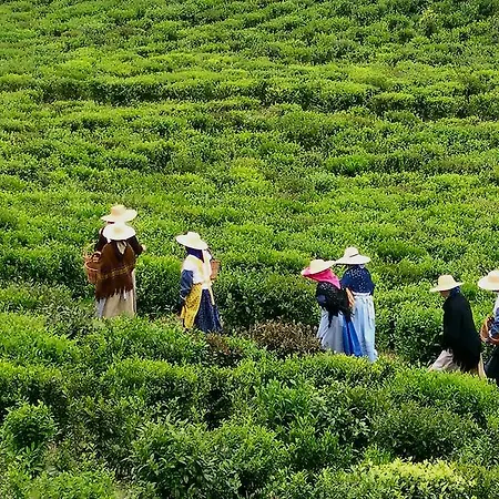 בית נופש Casa Quinta Do Marques *