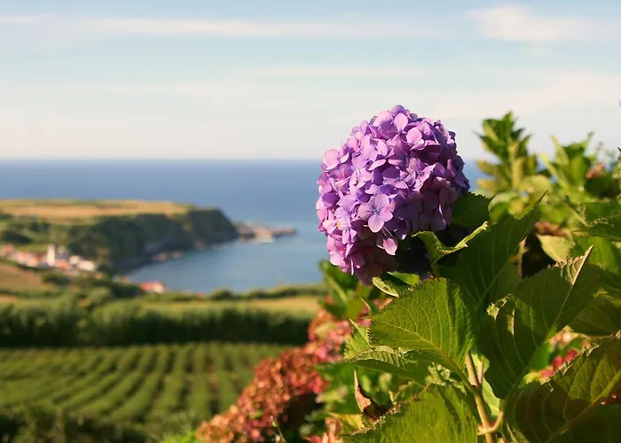 Casa Quinta Do Marques *